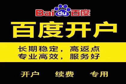 百度推广技巧：案例解析
